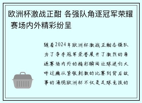 欧洲杯激战正酣 各强队角逐冠军荣耀 赛场内外精彩纷呈